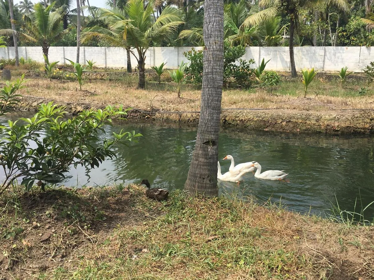 Pranavam Resorts Munroe Island