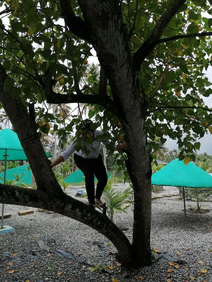 Pranavam Resorts Munroe Island